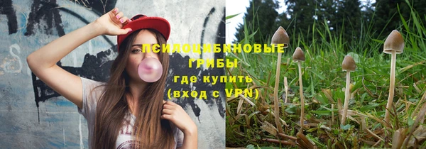 ALPHA-PVP Алексеевка