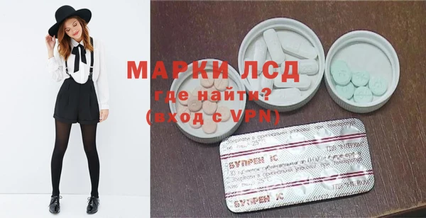 амф Корсаков