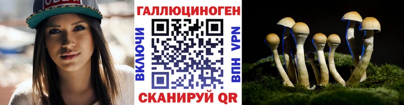 наркошоп  кракен как войти  Галлюциногенные грибы прущие грибы  Аткарск 